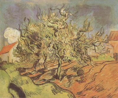 Vincent Van Gogh Landscape with Three and a House (nn04) oil painting image